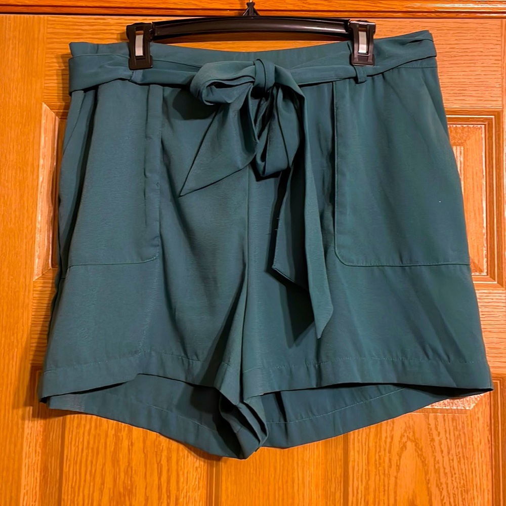 Turquoise flowy shorts